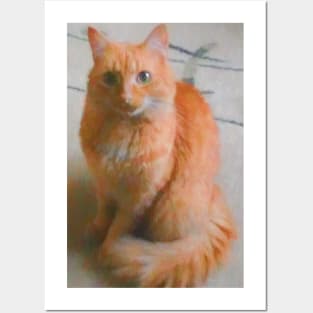 Ginger cat posing on camera Posters and Art